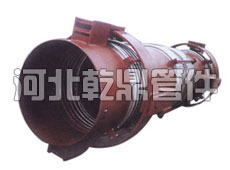 万向铰链横向波纹补偿器/WJYH